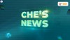 Che's News - Bản tin chính thức của Trường THPT Chê Ghê-va-ra